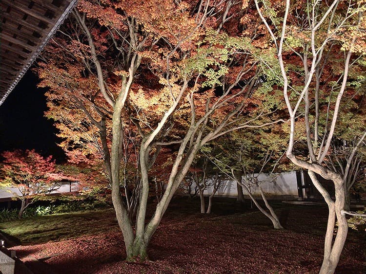 妙覚寺