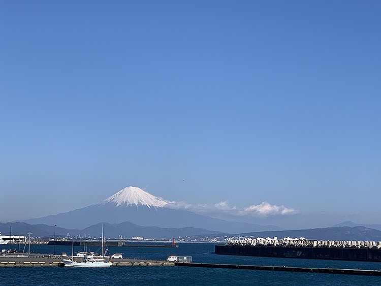 深層水ミュージアムの屋上展望台からは富士山が見える