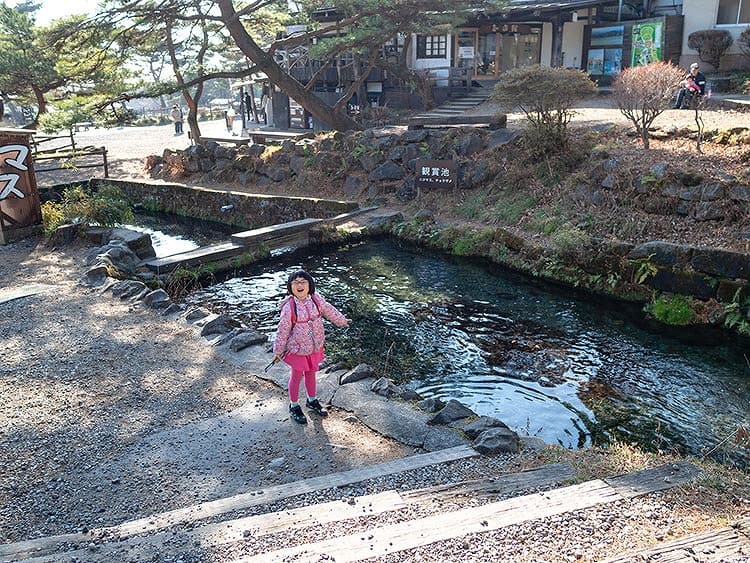 かわいい＆珍しい、動物たちとのふれあい体験