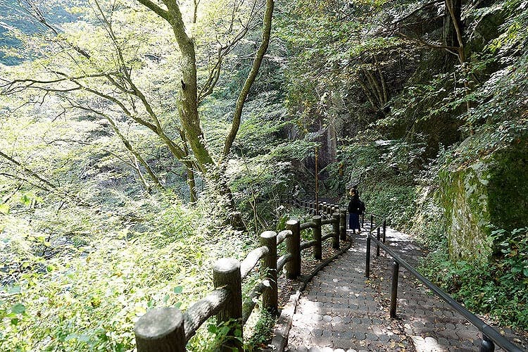 渓谷の遊歩道