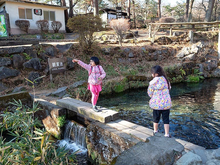 子供たちがエサをやる姿