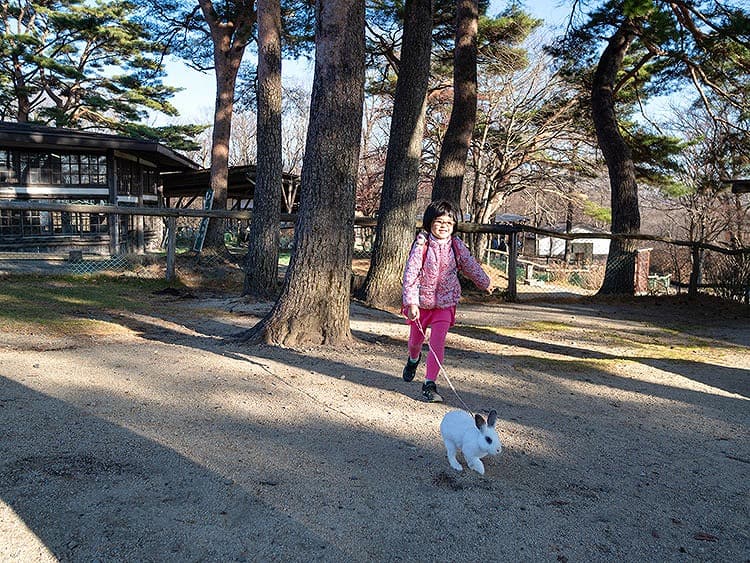 たくさんの動物とふれあう