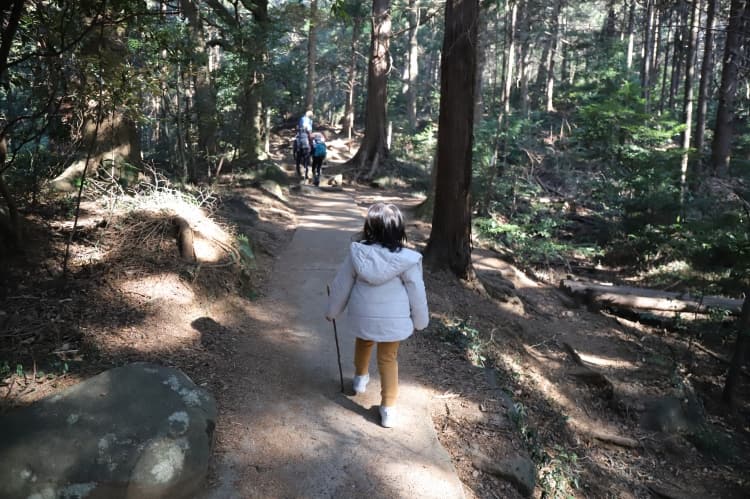 登山道