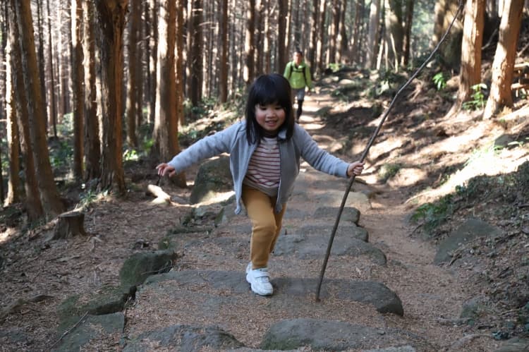 登山道