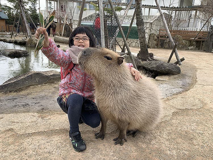 珍しい動物たち