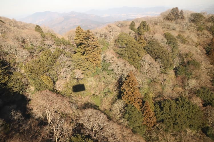 「娘ちゃんはさっきあの山の中を登ってきたんだよ」